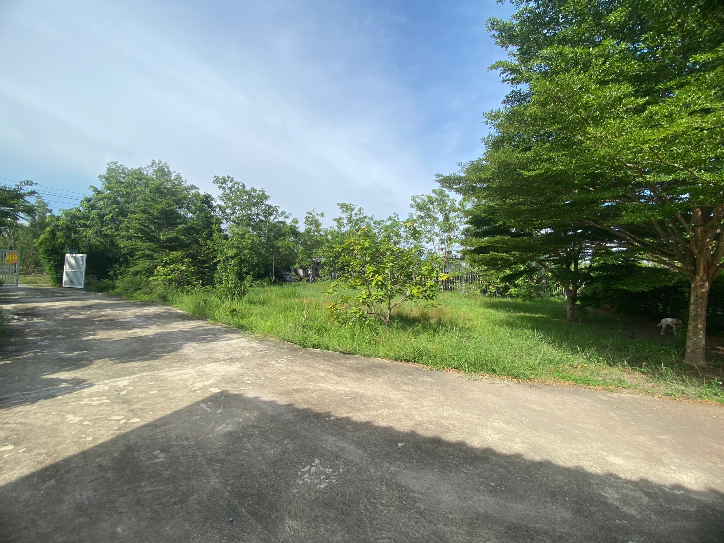 Hills