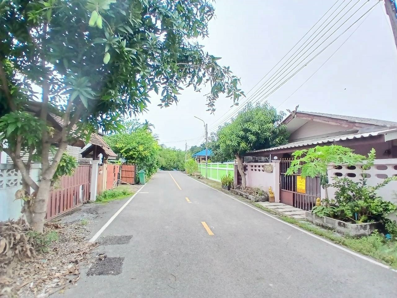 Hills