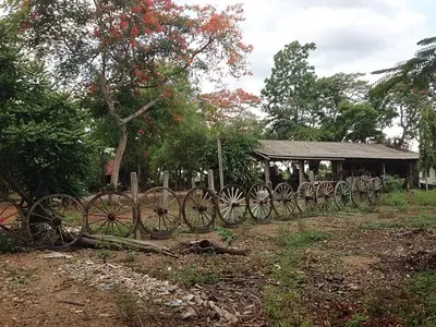 土地出售 Rangsit-Nakhon Nayok, Khlong Sip Song