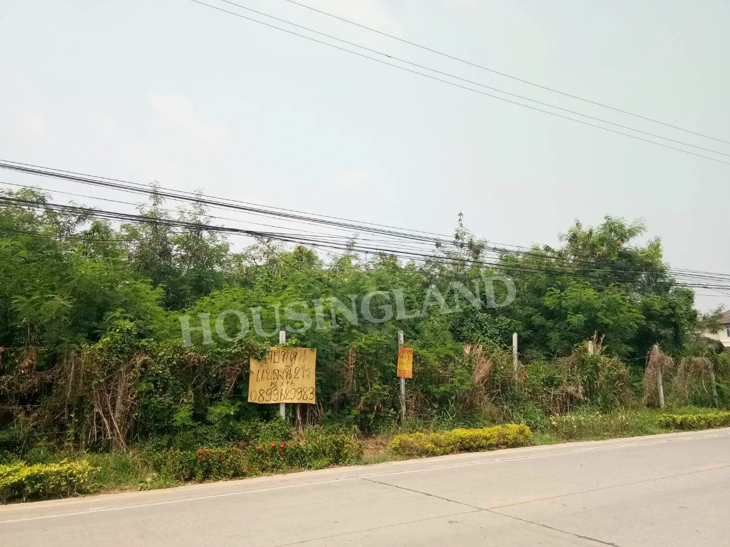 黄金地段待售土地 Lam Luk Ka Khlong Song (填), area 2 rai, near Nana Charoen Market 巴吞他尼府 Lam Luk Ka 区 Khu Khot 街道 Lam Luk Ka Khlong Song Road