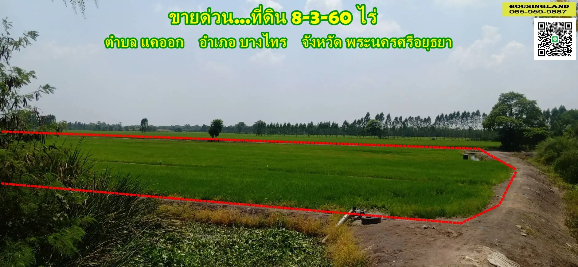 Land for sale 8-3-60 rai, Kae Ok Subdistrict, Bang Sai District, Ayutthaya Province. Adjacent to Thepprasit Rice Mill