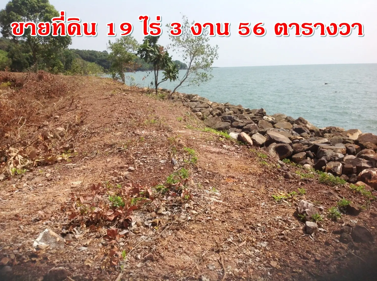 Trat Province Khlong Yai District Hat Lek Subdistrict, 19 rai 3 ngan 56 square wah, 19 rai 3 ngan 56 square wah, 美丽的海边出售土地