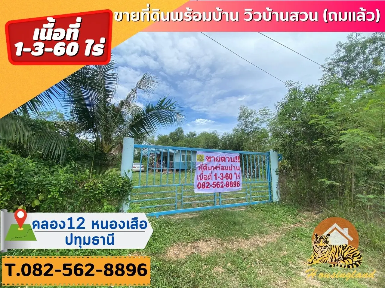 急售！！巴吞他尼府 Nong Suea 区 Sala Khru 分区 Liab Klong 12 路的土地填满房屋。