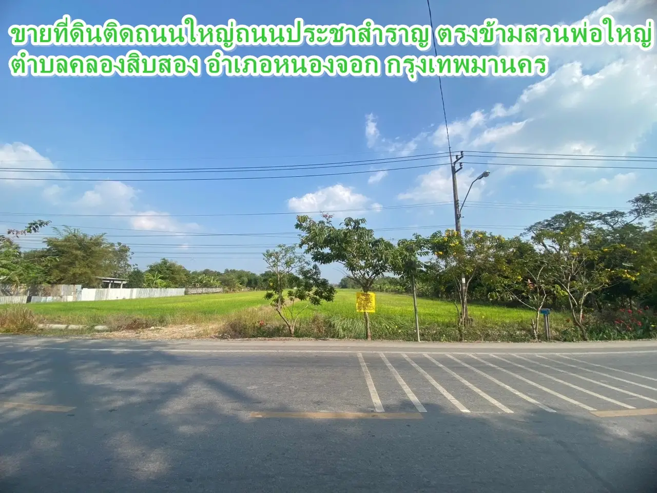 主要道路 Pracha Samran 路的待售土地。大父亲花园对面 曼谷 Nong Chok 区 Khlong Sip Song 街道