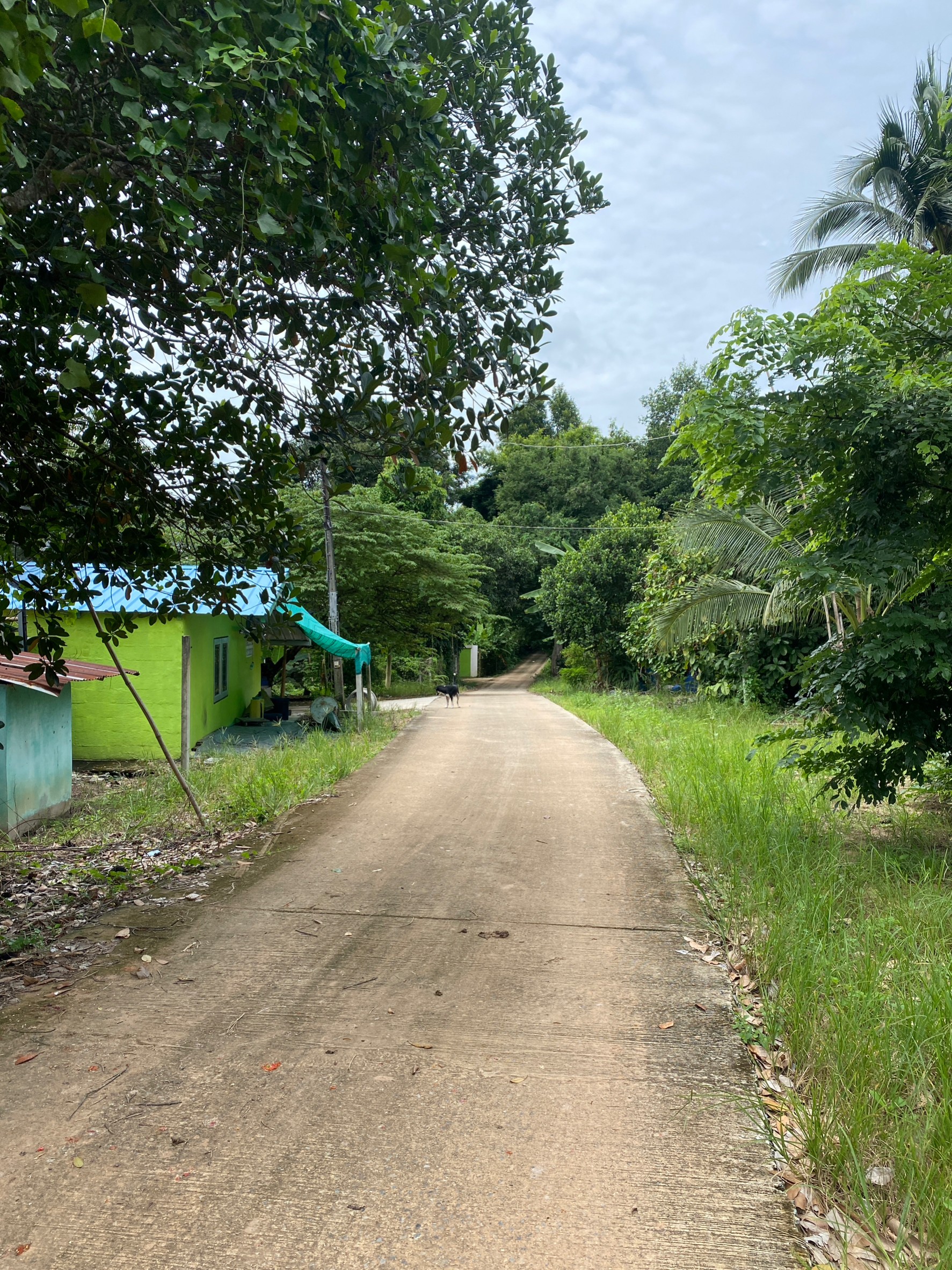 Hills