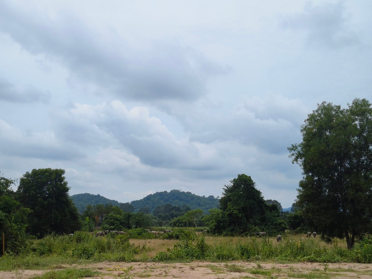 Hills