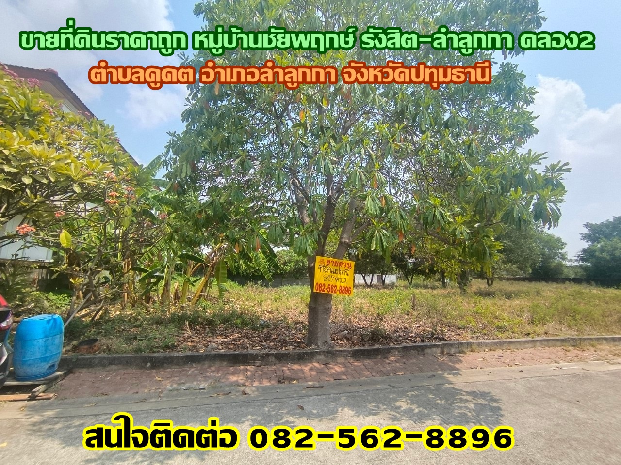 ขายที่ดินราคาถูก หมู่บ้านชัยพฤกษ์ รังสิต-ลำลูกกา คลอง2 ใกล้ตลาดนานาเจริญ