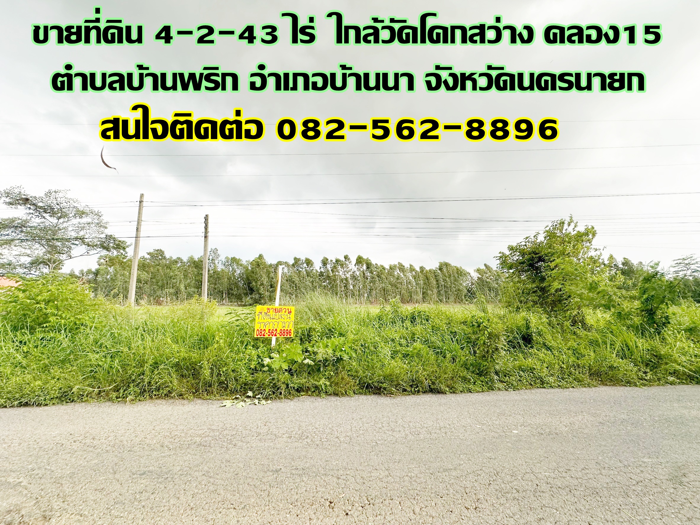 ขายที่ดิน 4-2-43 ไร่ ใกล้วัดโคกสว่าง คลอง15 ตำบลบ้านพริก อำเภอบ้านนา จังหวัดนครนายก