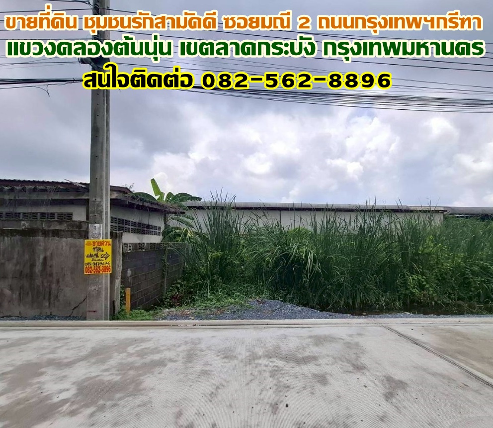 ขายที่ดิน ชุมชนรักสามัคคี ซอยมณี 2 ถนนกรุงเทพฯกรีฑา ลาดกระบัง
