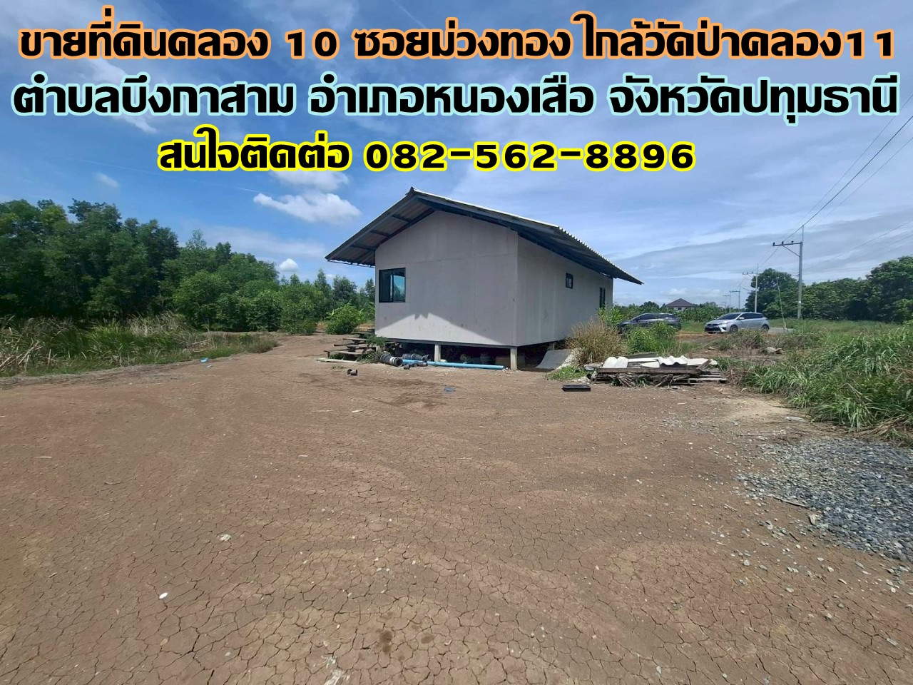 ขายที่ดินคลอง 10 ซอยม่วงทอง ใกล้วัดป่าคลอง11 หนองเสือ ปทุมธานี