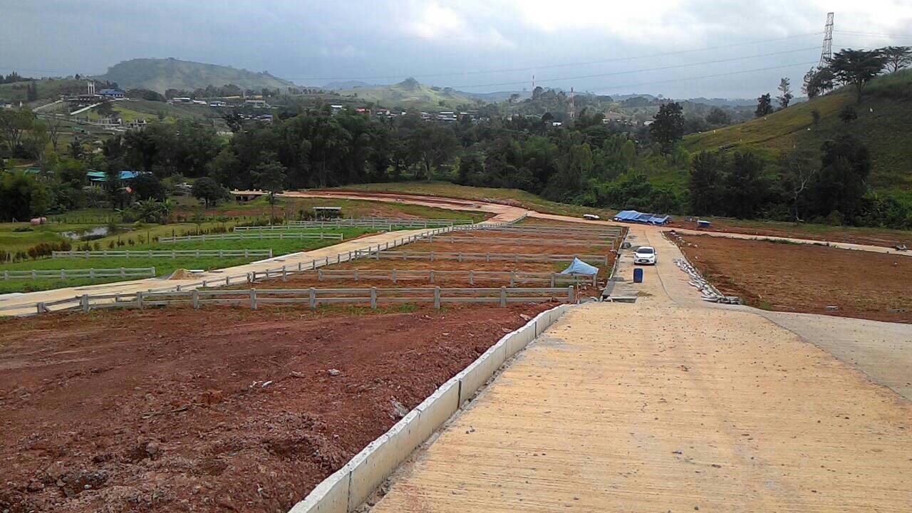 Hills