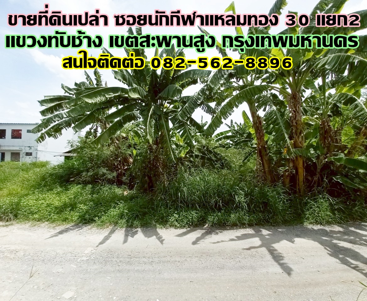 ขายที่ดินเปล่า ซอยนักกีฬาแหลมทอง 30 แยก2 ใกล้โรงเรียนสุเหร่าทับช้างคลองบน 