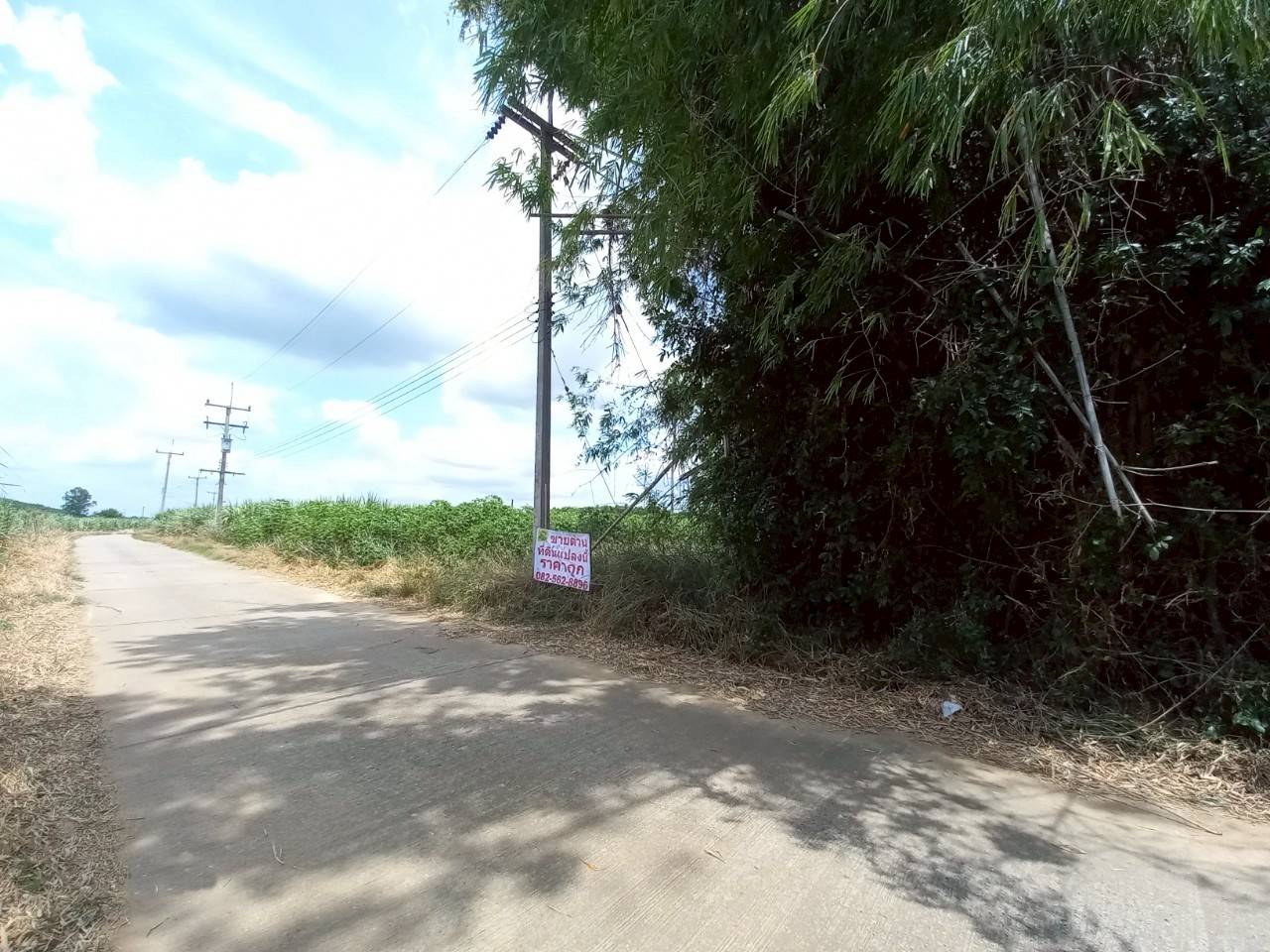 Hills