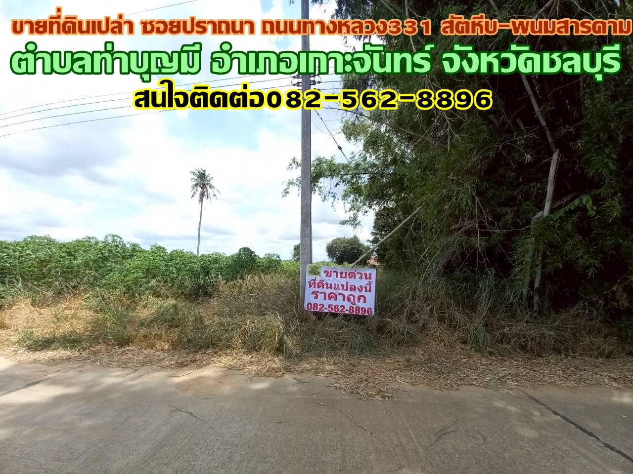 ขายที่ดินเปล่า ซอยปราถนา ถนนทางหลวง331 สัตหีบ-พนมสารคาม 