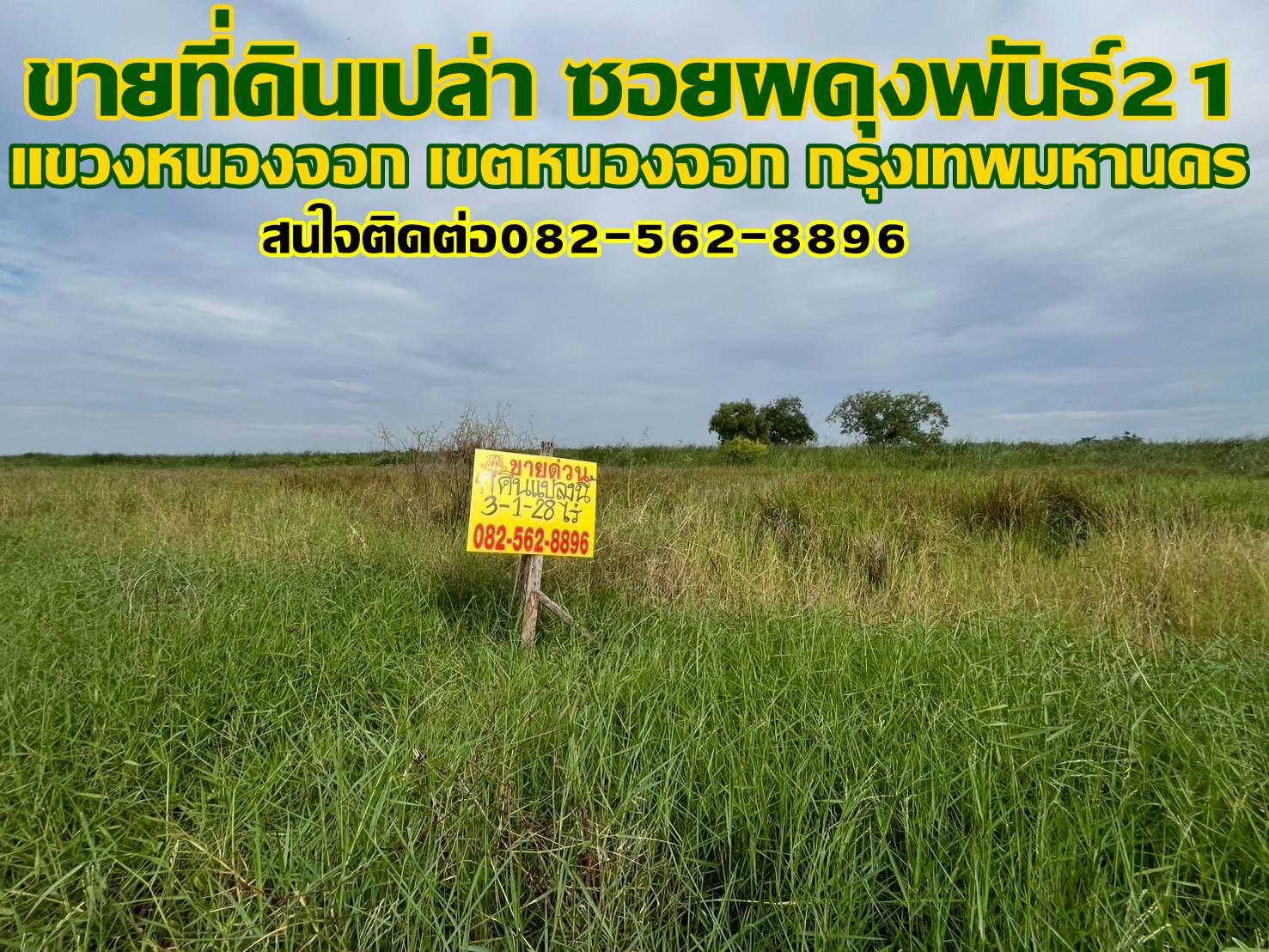 ขายที่ดินเปล่า ซอยผดุงพันธ์21 หนองจอก กรุงเทพมหานคร