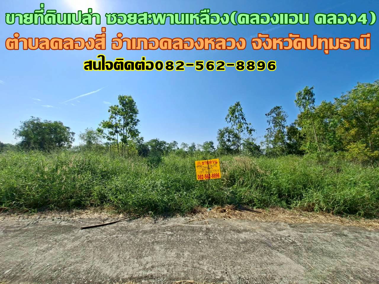 ขายที่ดินเปล่า ซอยสะพานเหลือง(คลองแอน คลอง4) คลองหลวง