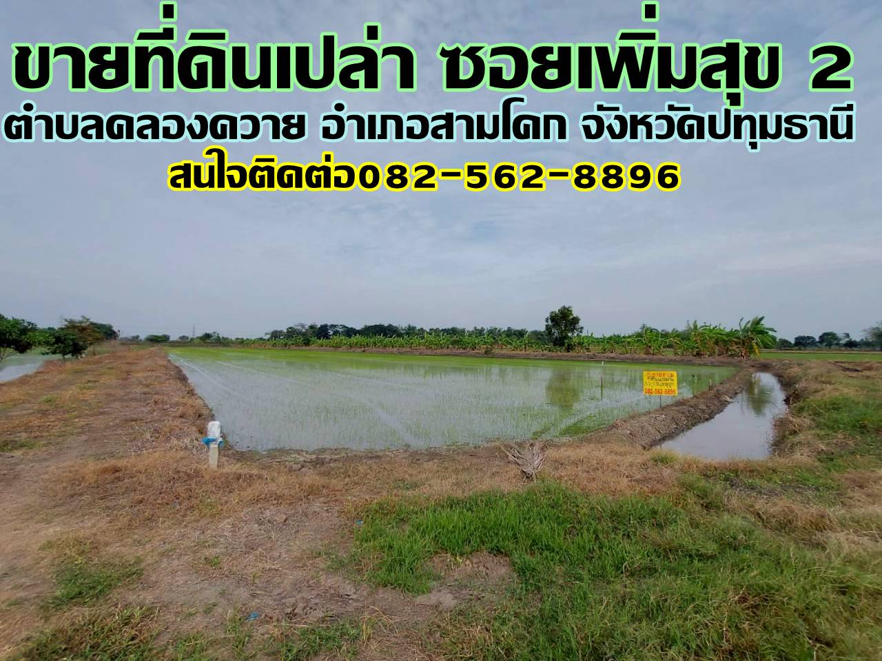 ขายที่ดินเปล่า ซอยเพิ่มสุข 2 ตำบลคลองควาย อำเภอสามโคก จังหวัดปทุมธานี