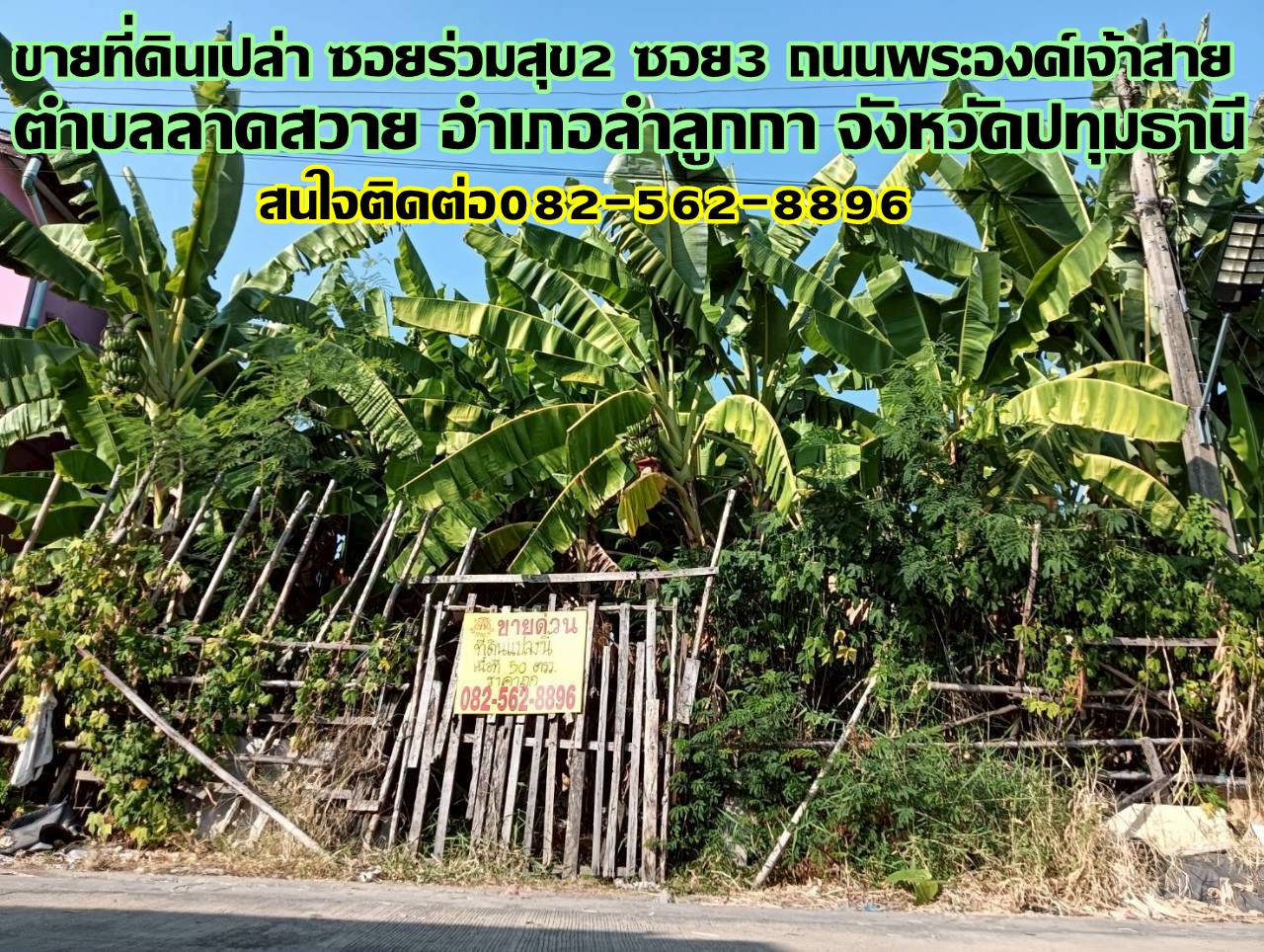 ขายที่ดินเปล่า ซอยร่วมสุข2 ซอย3 ถนนพระองค์เจ้าสาย 