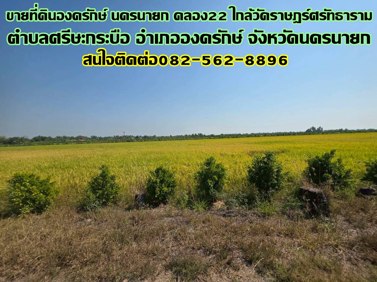 ขายที่ดิน 2แปลง องครักษ์ นครนายก คลอง22 ใกล้วัดราษฎร์ศรัทธาราม 