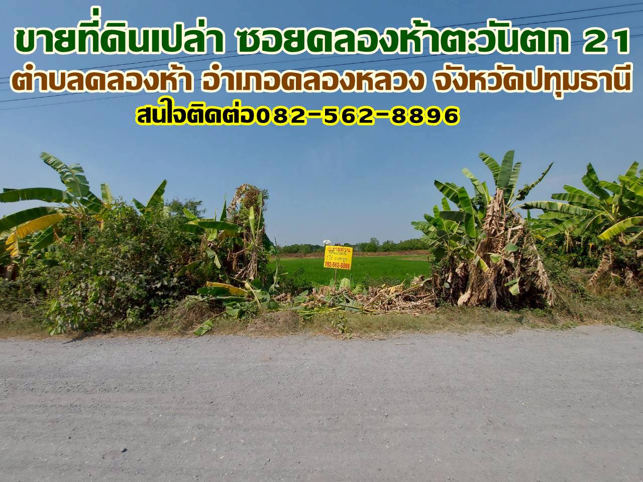 ขายที่ดินเปล่า ซอยคลองห้าตะวันตก21 คลองหลวง