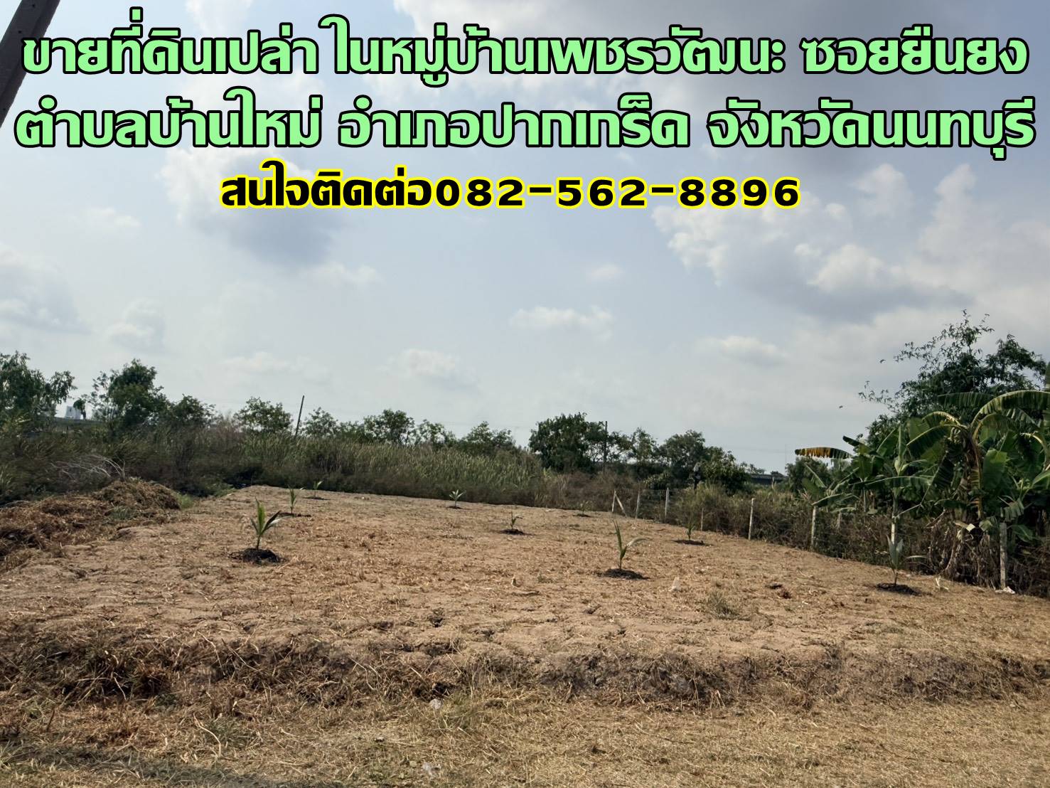 ขายที่ดินเปล่า ในหมู่บ้านเพชรวัฒนะ ซอยยืนยง ปากเกร็ด นนทบุรี