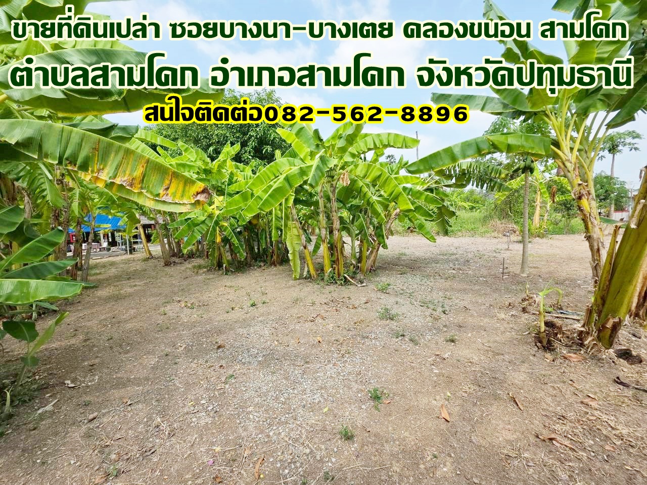 ขายที่ดินเปล่า ซอยบางนา-บางเตย คลองขนอน สามโคก
