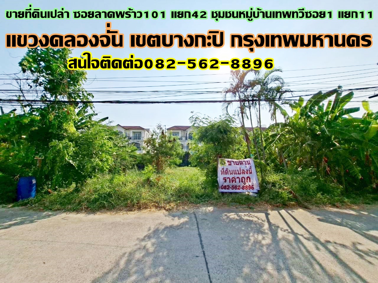 ขายที่ดินเปล่า ซอยลาดพร้าว101 แยก42 ชุมชนหมู่บ้านเทพทวีซอย1 แยก11