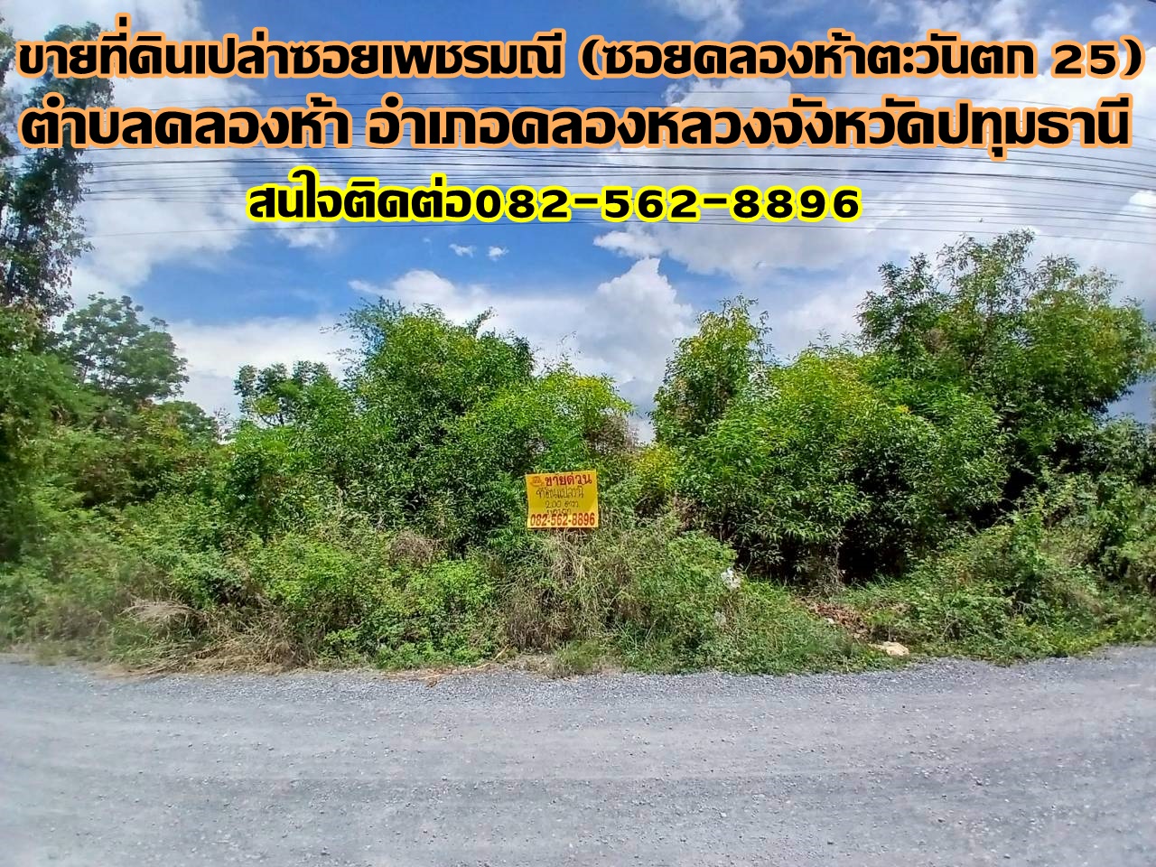 ขายที่ดินเปล่า ซอยเพชรมณี (ซอยคลองห้าตะวันตก 25) 