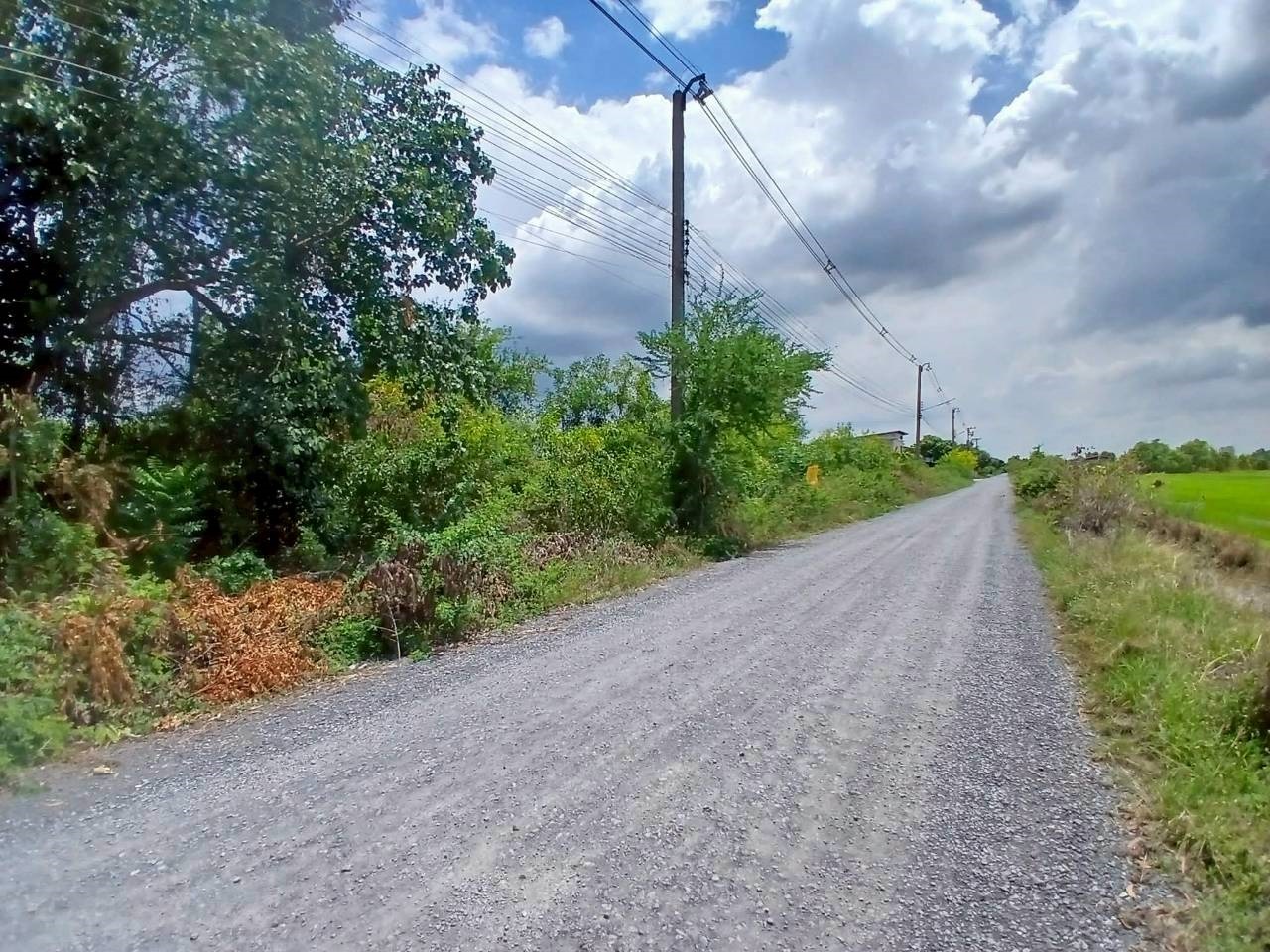 Hills