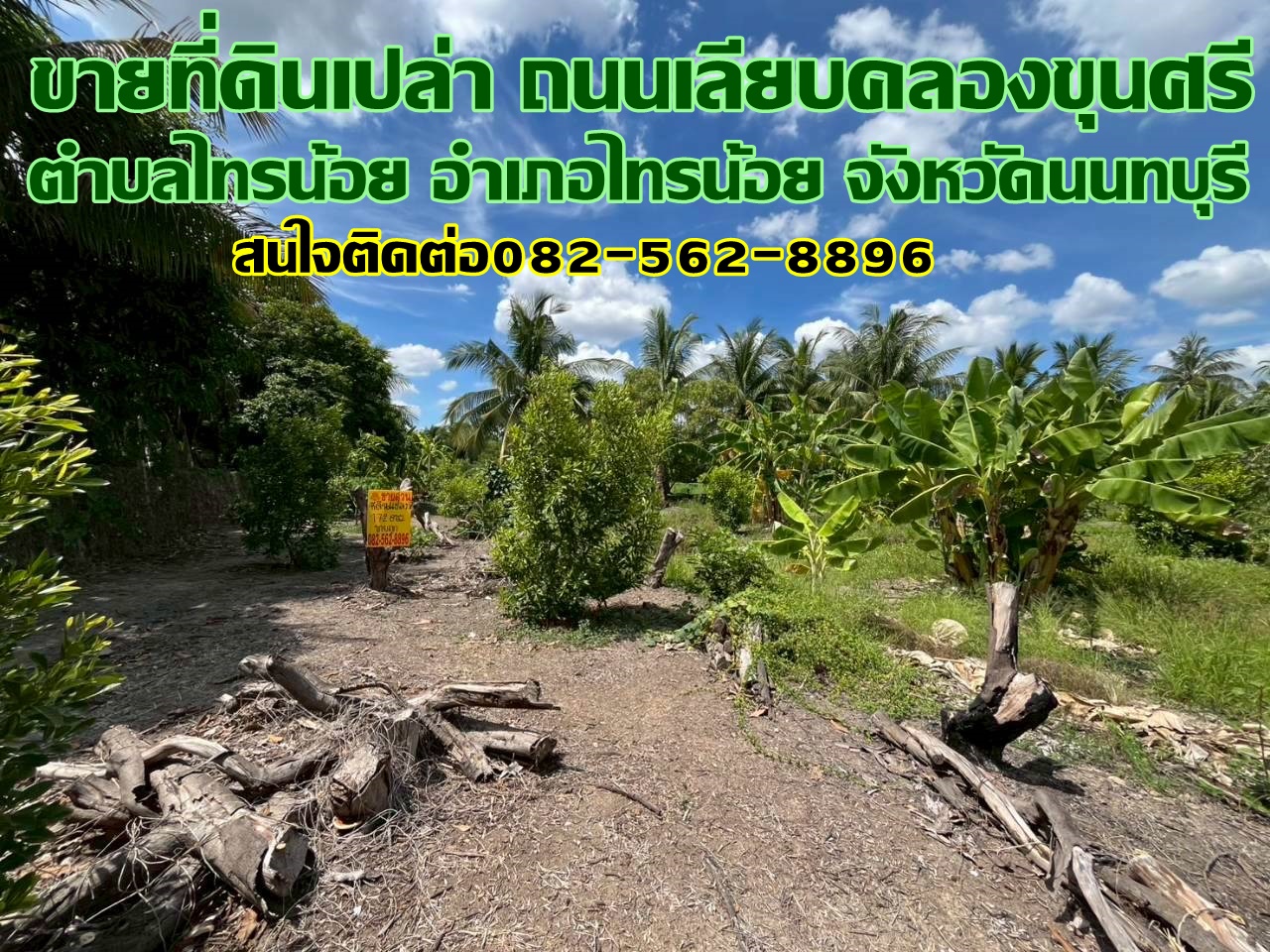 ขายที่ดินเปล่า ถนนเลียบคลองขุนศรี ไทรน้อย นนทบุรี 