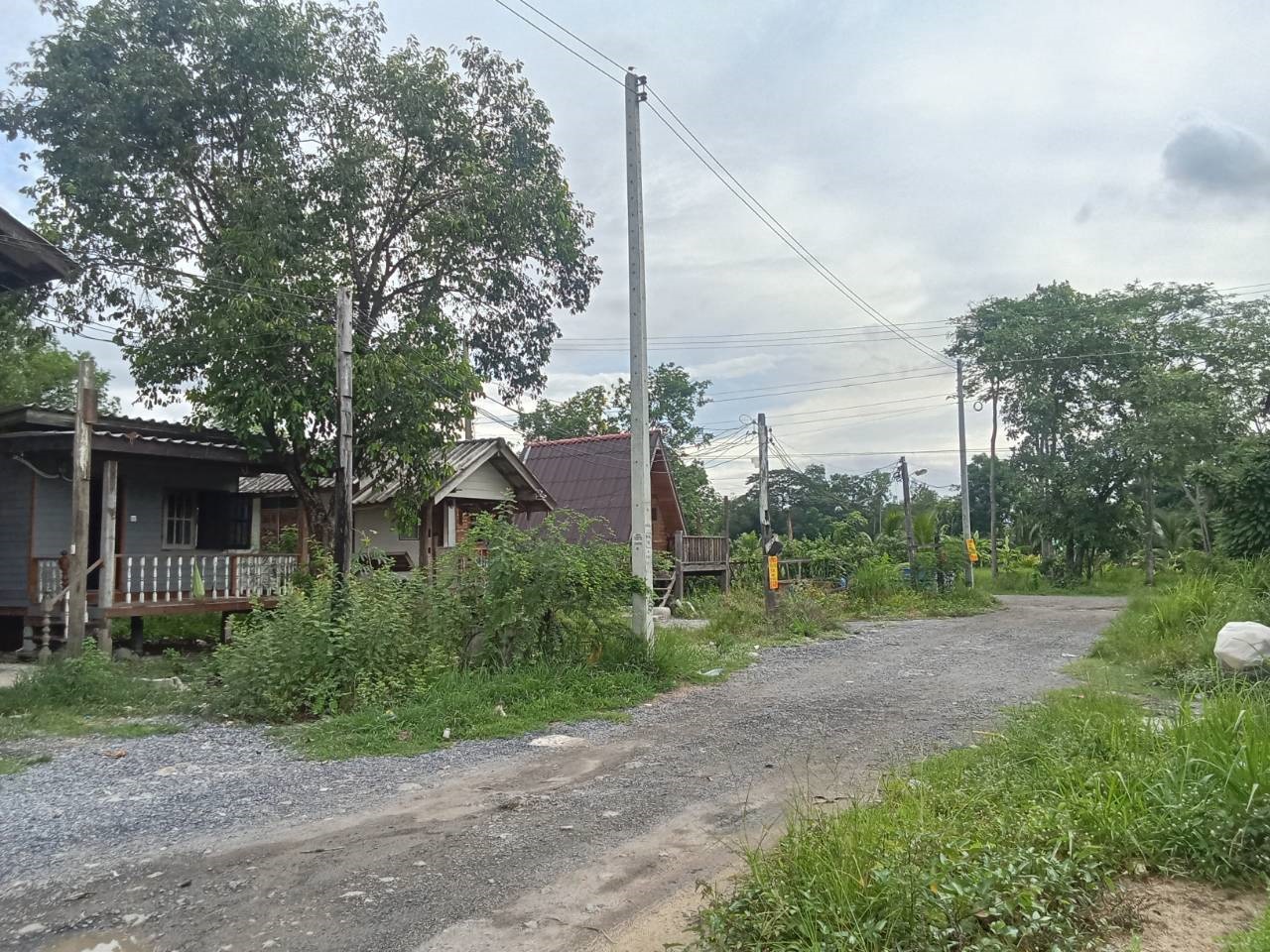 Hills