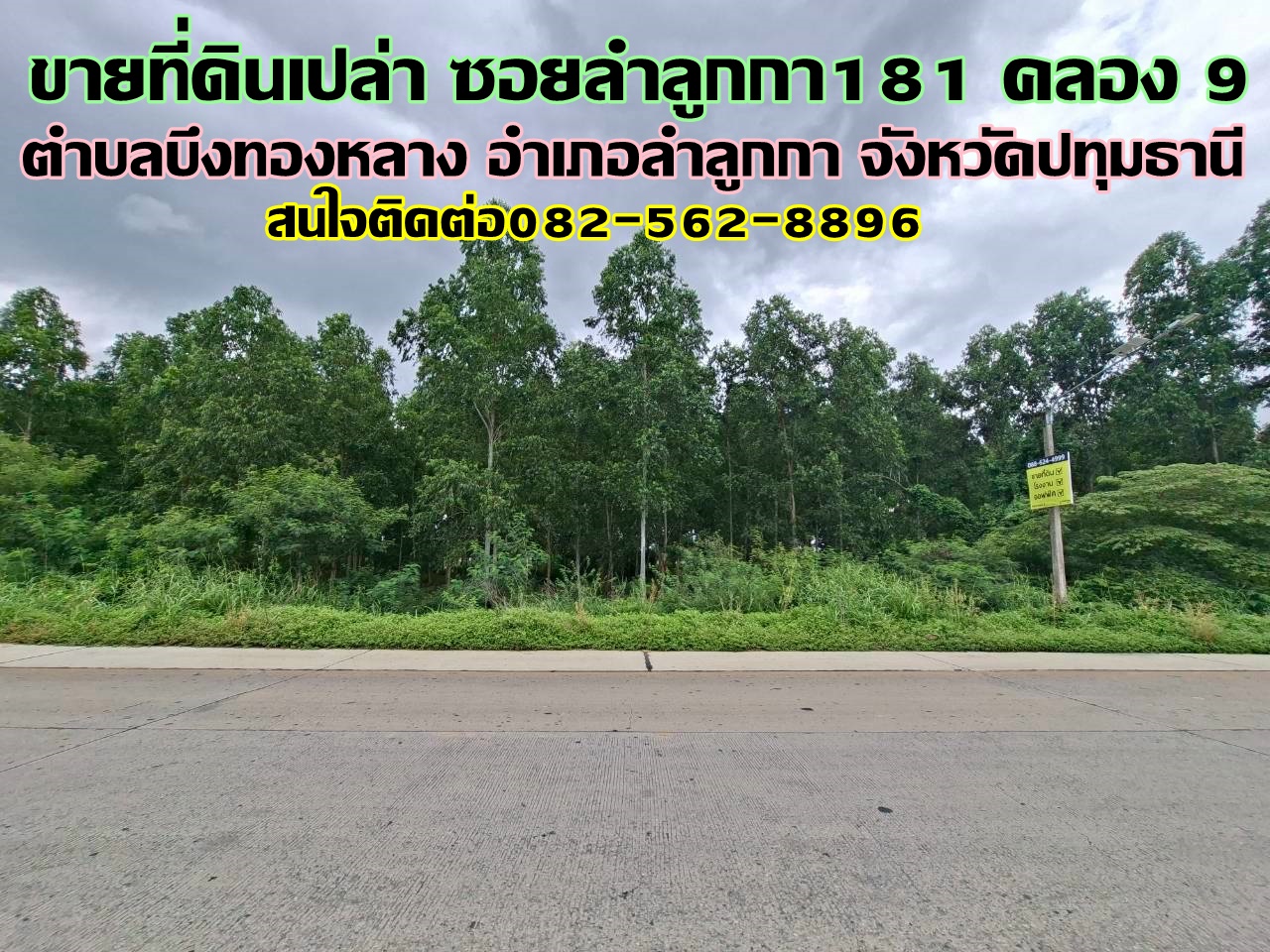 ขายที่ดินเปล่า ซอยลำลูกกา181 คลอง9 