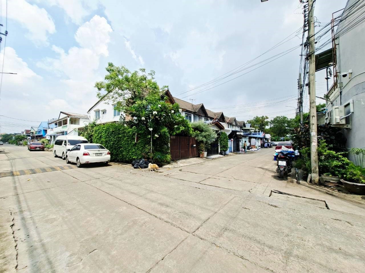 Hills